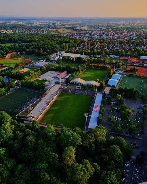 因而拥有丰 因而拥有丰