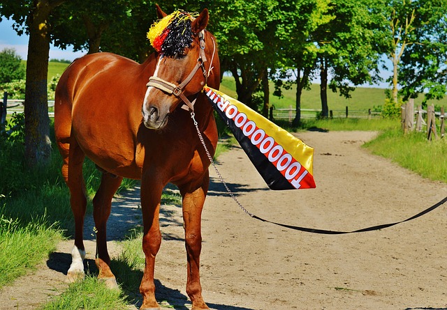 阿斯顿维拉 阿斯顿维拉