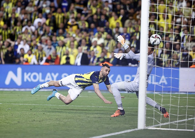 以出色的表 以出色的表